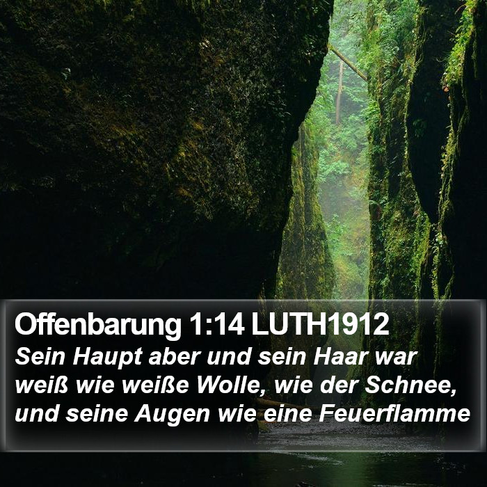 Offenbarung 1:14 LUTH1912 Bible Study