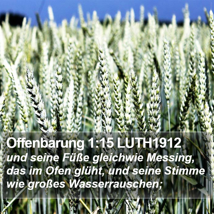 Offenbarung 1:15 LUTH1912 Bible Study