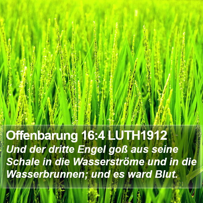 Offenbarung 16:4 LUTH1912 Bible Study